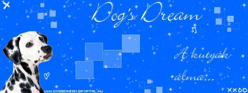  Dogs Dream 